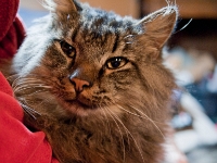 Lisa and Hermes night DS couch P2030450